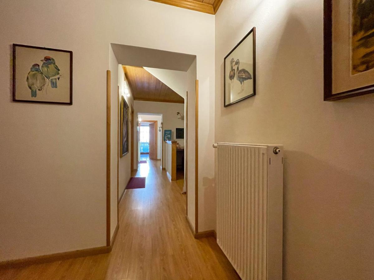 Casa Cadore Lozzo Cadore Экстерьер фото